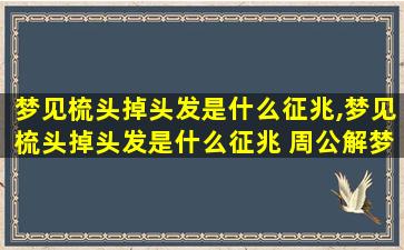 梦见梳头掉头发是什么征兆,梦见梳头掉头发是什么征兆 周公解梦